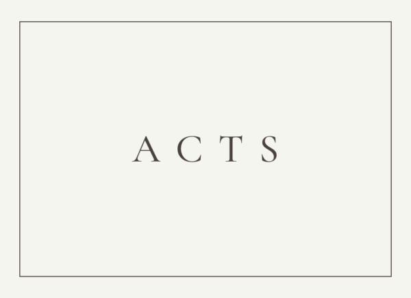 Acts 4 Image