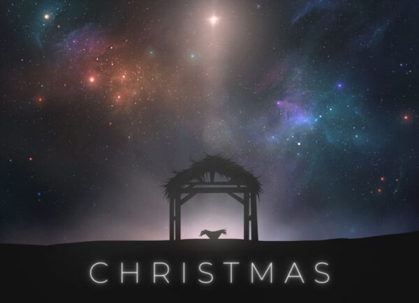 12 December - Christmas Contrast Image